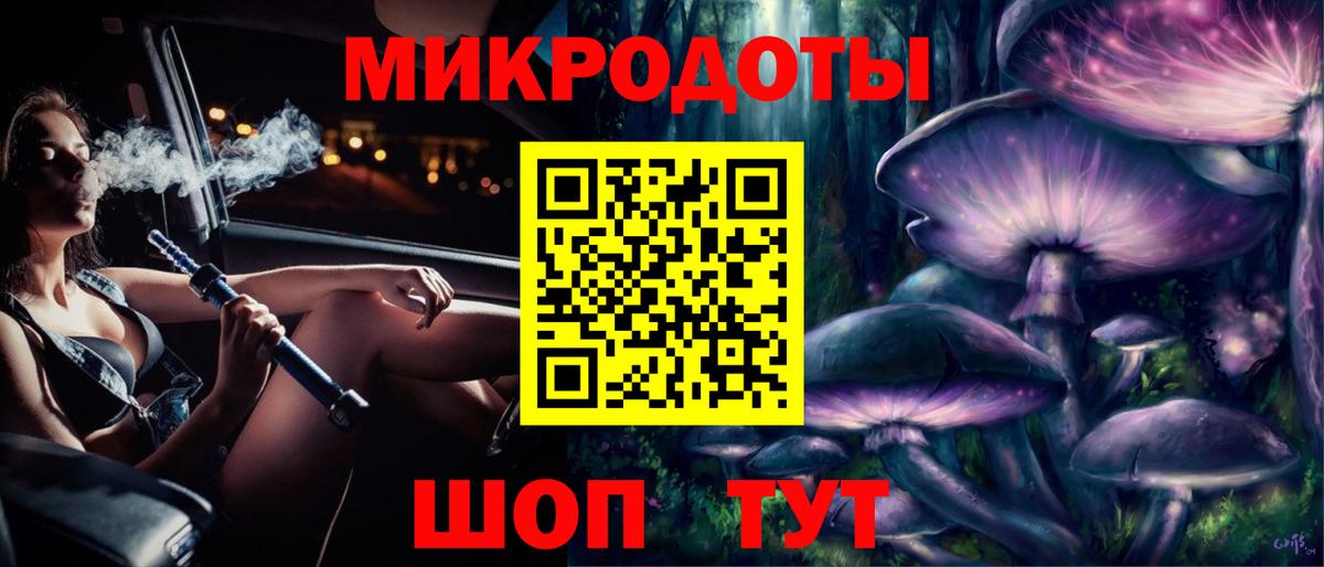 Галлюциногенные грибы Psilocybine cubensis Псков