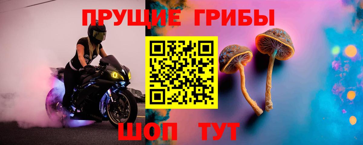 Галлюциногенные грибы мицелий  Вход с VPN  Псков 